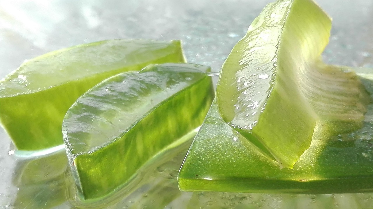 Foglie di aloe vera fresche su sfondo bianco, simbolo di un integratore contro la ritenzione idrica.